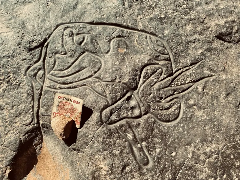 Prehistoric engraving of an animal on a rock in the Tassili n'Ajjer